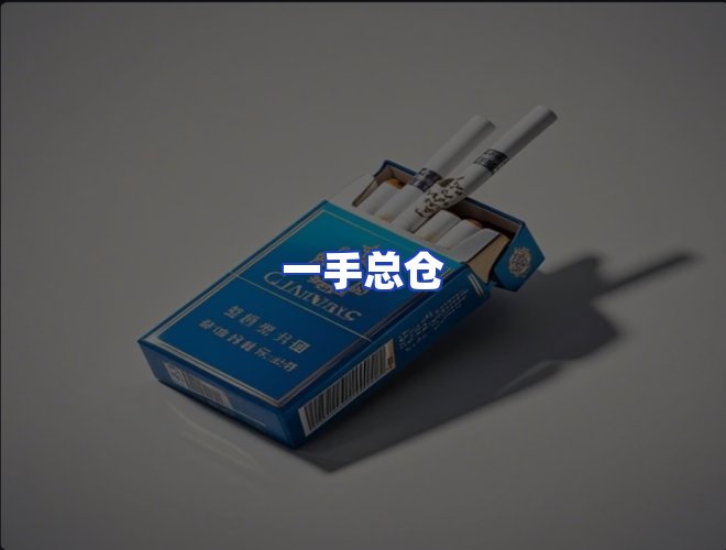 专业团队
